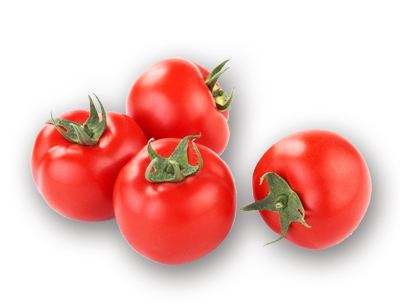 Tomato