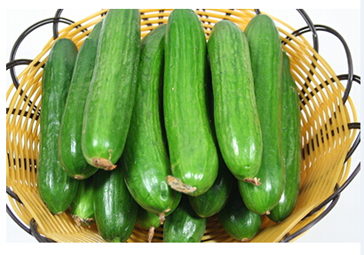 Fruit cucumber