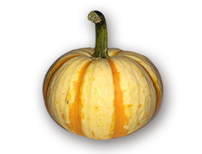 Organic Pumpkin