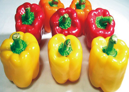 Color pepper
